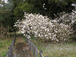 0408tahaha.jpg